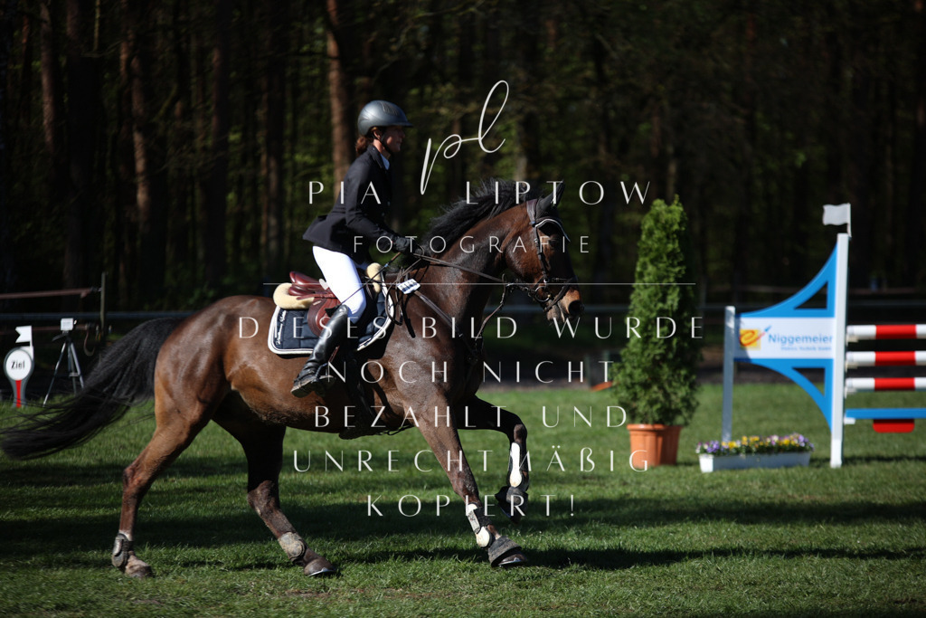 IMGT0411 | pl-fotografie