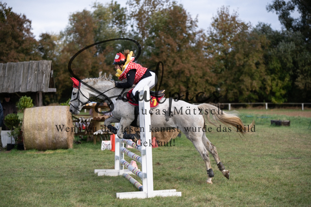 A7V06567 | Pferdefotograf