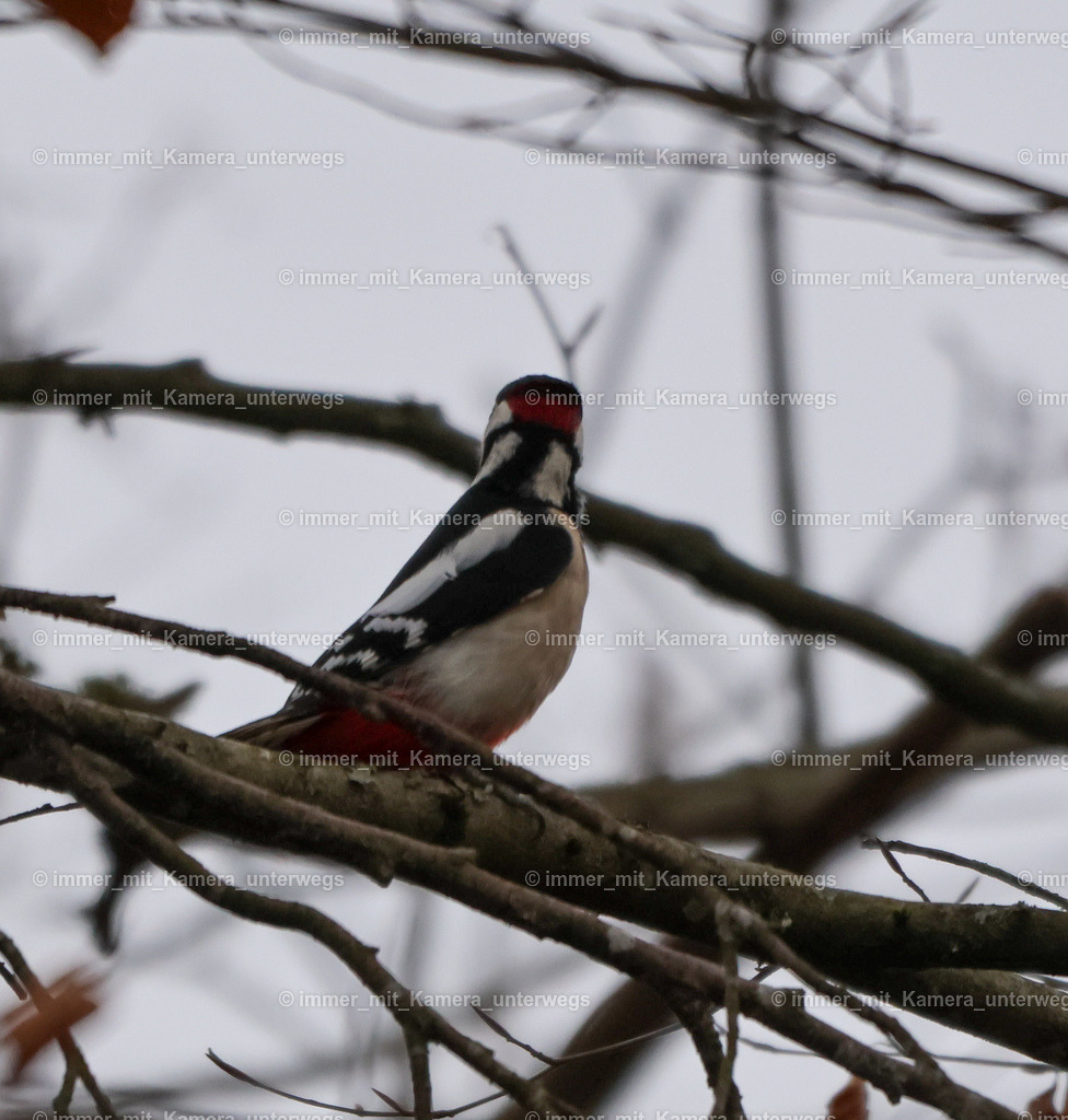 20240207111344_9I4A5336 | immer_mit_kamera_unterwegs