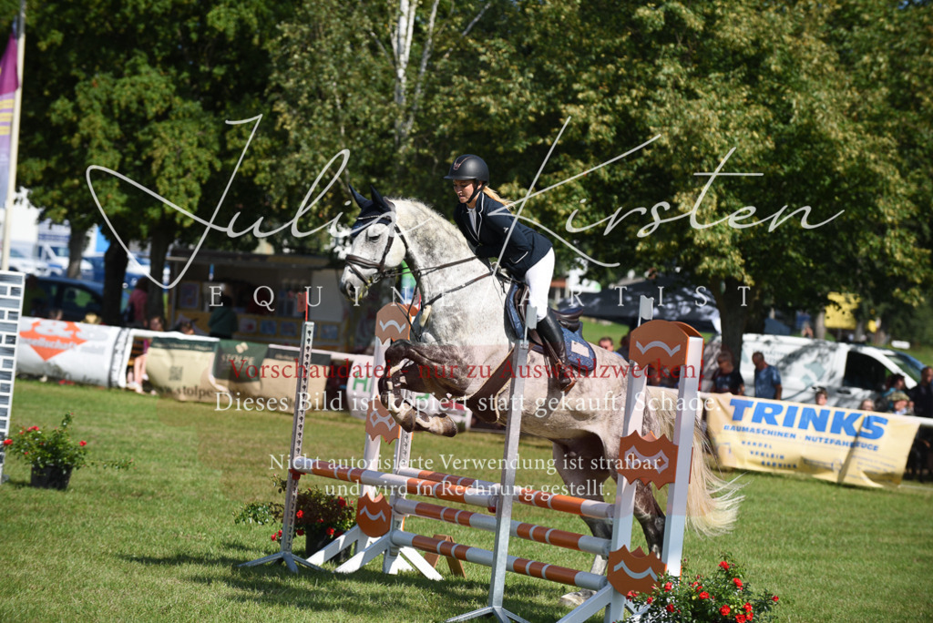 DSC_9136 | Pferde- und Turnierfotografie in Westsachsen. Pferdeportraits, Auftragszeichnungen und intuitive Kunst.