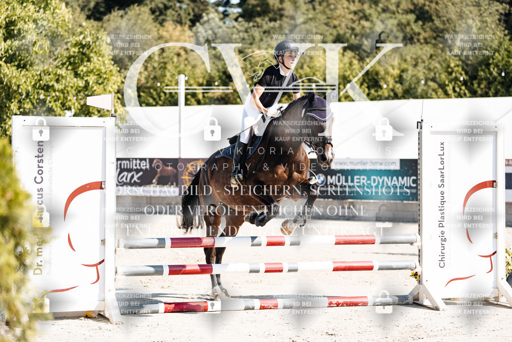 CK904979 | Turnierfotografie Pferdefotografie Trier Rheinland-Pfalz Pferdesport Reitsport Tierfotografie Sportfotografie Pferdevideo Pferdevideografie Equestrianvideography equestrianphotography  - Realisiert mit Pictrs.com