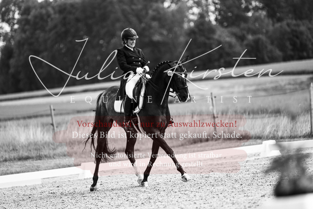 DSC_2235 | Pferde- und Turnierfotografie in Westsachsen. Pferdeportraits, Auftragszeichnungen und intuitive Kunst.