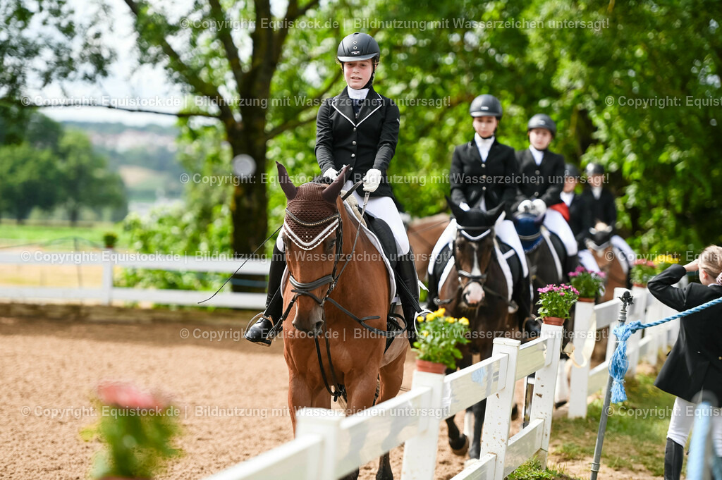 20230716_10-1_Reiter-WB Schritt - Trab - Galopp_0066 | equistock