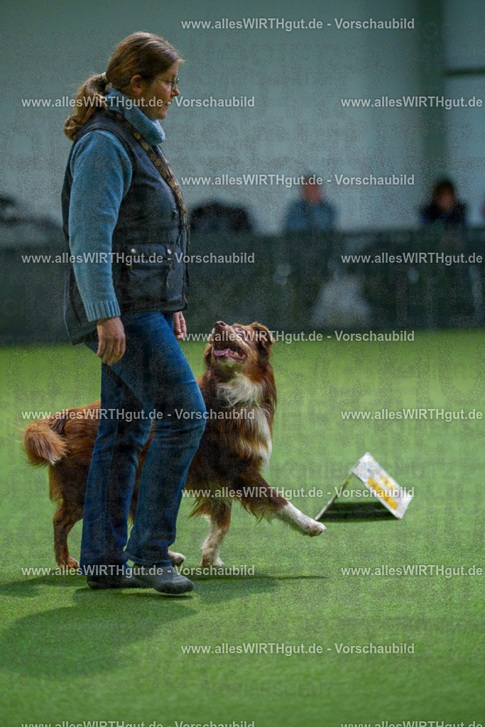 7R500901 | Professionelle Tierfotografie in Mönchengladbach von Daniel Wirth (allesWIRTHgut). Liebevolle & natürliche Bilder von Hunden & Katzen für unvergessliche Erinnerungen.