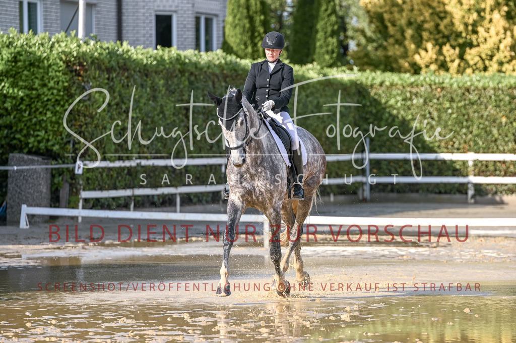 Schugtsche-Aluta25-54.Dressurprf.L1Trense-215 | Schugtsche Fotografie - Realisiert mit Pictrs.com