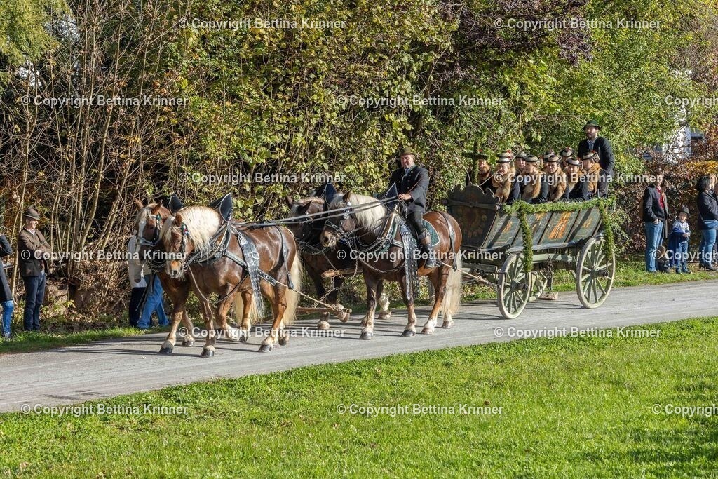 LBT24-317 | foto-bettina-krinner - Realisiert mit Pictrs.com