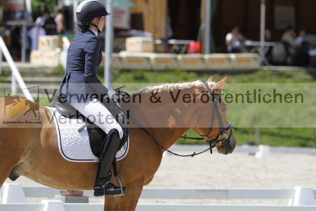 _MG_5197 | equestrian-live-com