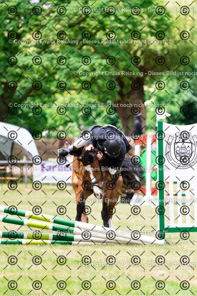 CL5A5910 | Emilia Reinking Fotografie - Realisiert mit Pictrs.com