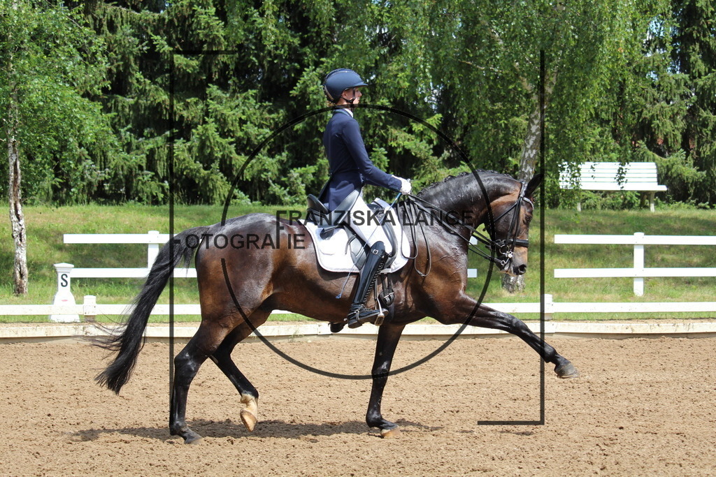 IMG_7763 | franziskalange - Realisiert mit Pictrs.com