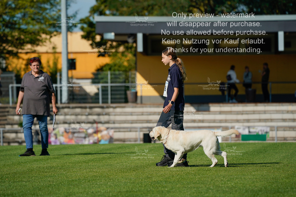 Samstag_Gehorsam_V2 (53) | stephaniefillaphotographie - Realisiert mit Pictrs.com