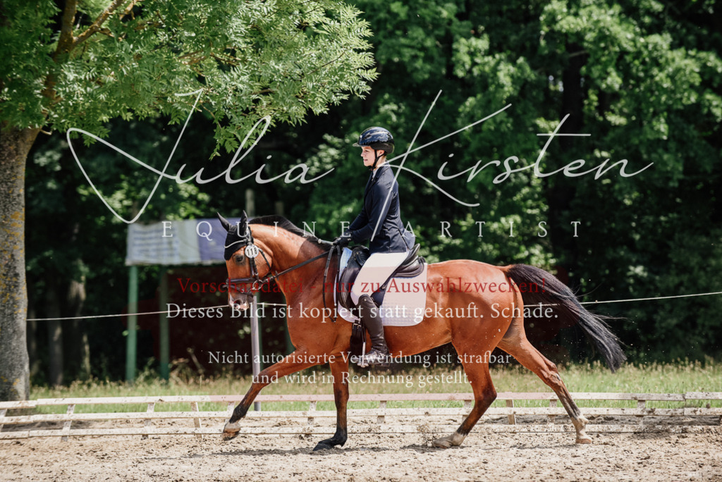 DSC_1764 | Pferde- und Turnierfotografie in Westsachsen. Pferdeportraits, Auftragszeichnungen und intuitive Kunst.