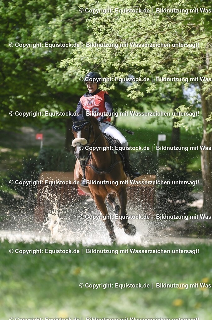 20250517_CCI2_Gelände_0989 | Foto: Thomas Hartig