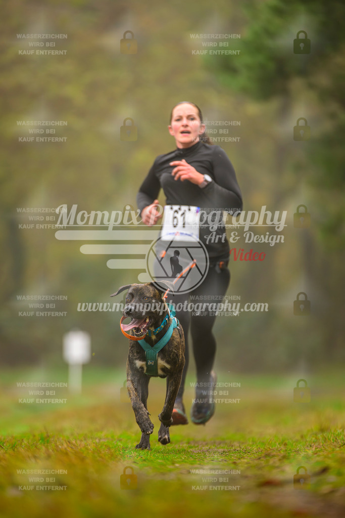 MompixPhotography_Bischwiller2025_Canicross-104 | mompixphotography