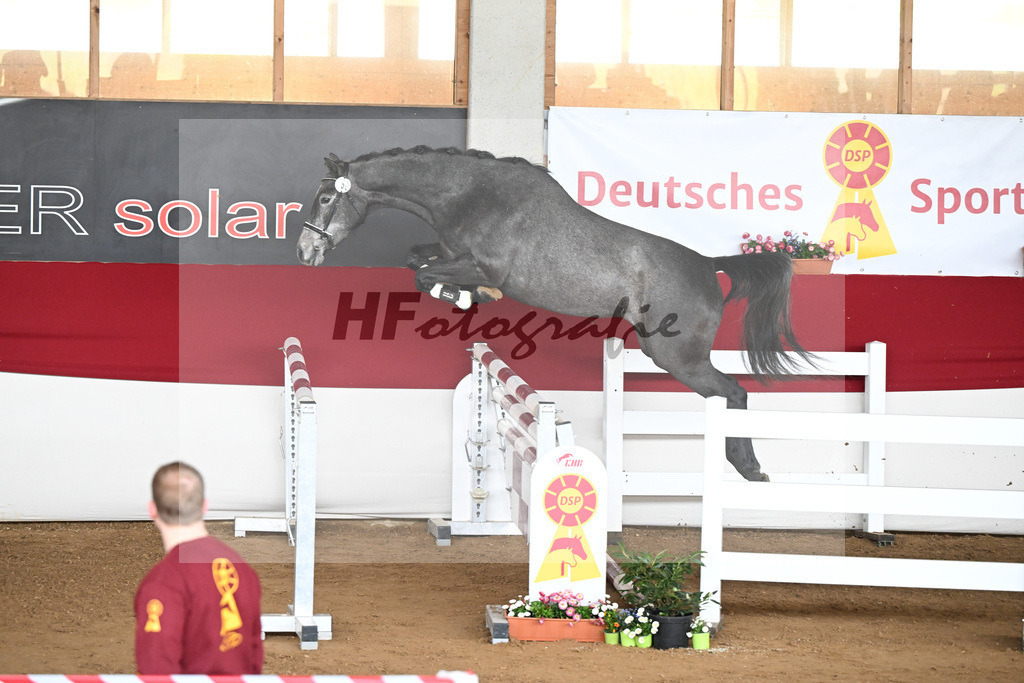 Kat-Nr. 50 Coralee v. Colman_Egetenmeier_9240596 | hf-fotografie - Realizzato con Pictrs.com