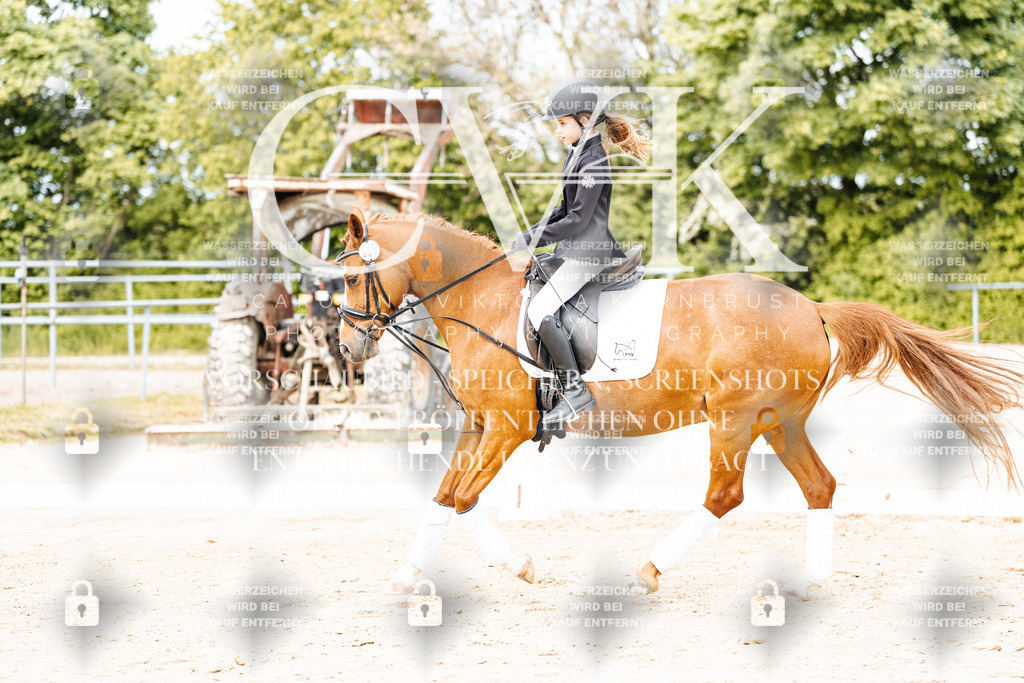 CK904593 | Turnierfotografie Pferdefotografie Trier Rheinland-Pfalz Pferdesport Reitsport Tierfotografie Sportfotografie Pferdevideo Pferdevideografie Equestrianvideography equestrianphotography  - Realisiert mit Pictrs.com