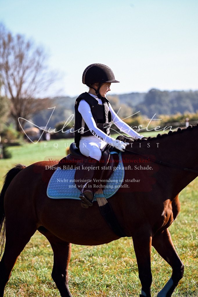 DSC_0271 | Pferde- und Turnierfotografie in Westsachsen. Pferdeportraits, Auftragszeichnungen und intuitive Kunst.