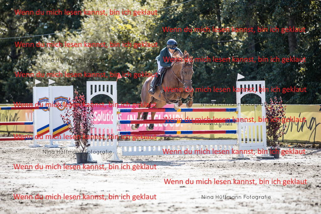 BK1A6456 | Turnierbilder Turnierfotos Nina Hüffmann Turnierfotografie Pferdefotografie Tierzeichnung Haustierzeichnung Pferdezeichnung Hundezeichnung Videograf  - Realisiert mit Pictrs.com