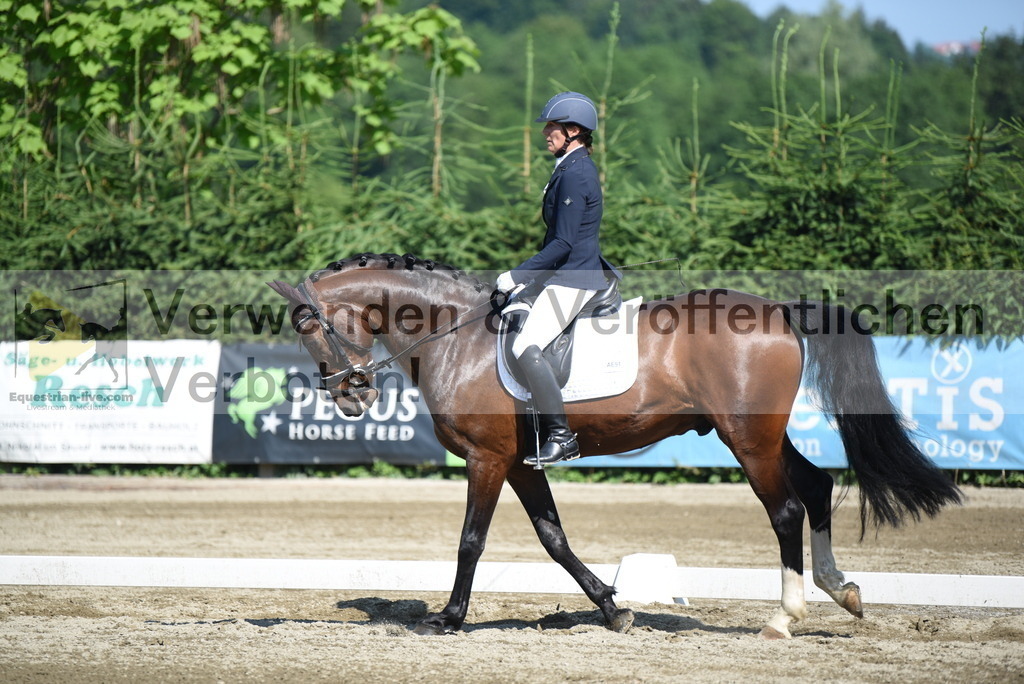 DSC_7770 | equestrian-live-com