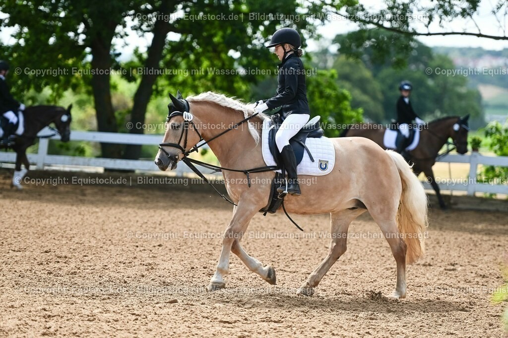 20230716_10-3_Reiter-WB Schritt - Trab - Galopp_0100 | equistock