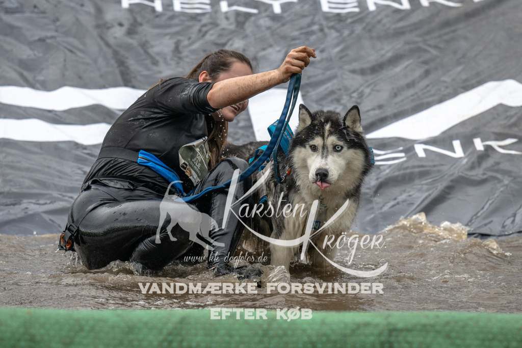 1558_ZZ91764 | kk-dogfotos