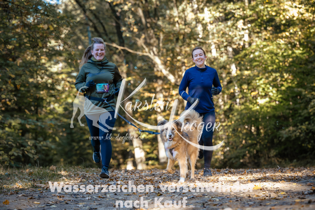 1027_ZZ99991 | kk-dogfotos