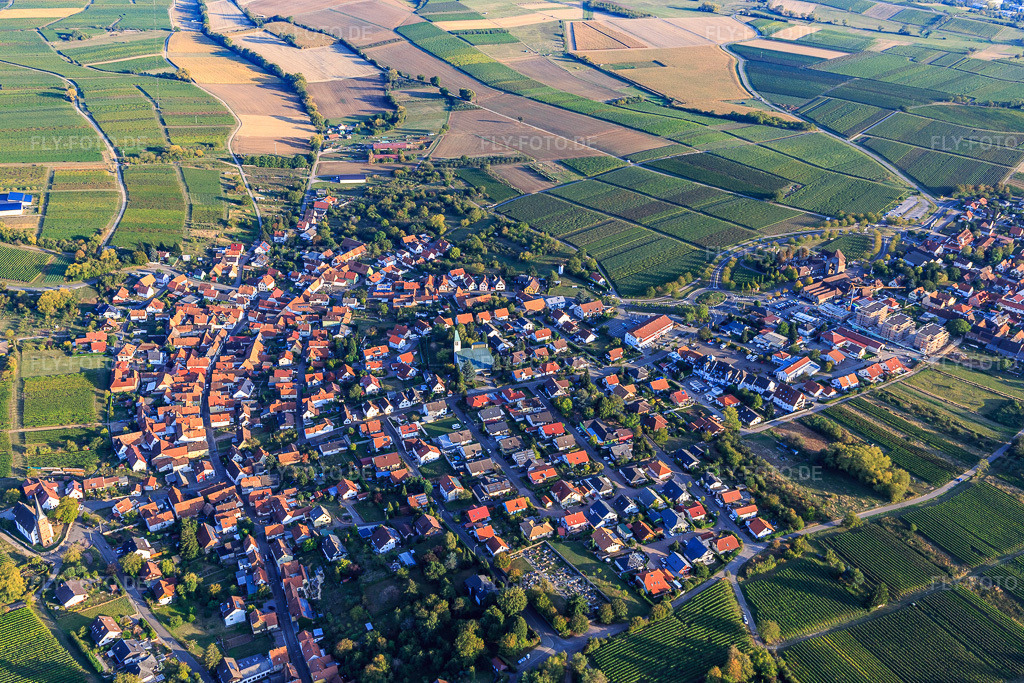 Luftbild: Ortsansicht von Westen im Ortsteil Rechtenbach in Schweigen-Rechtenbach im Bundesland Rheinland-Pfalz in Deutschland. Foto: IMG_123237.jpg vom 30.09.2020 durch Werner Riehm/FLY-FOTO.de