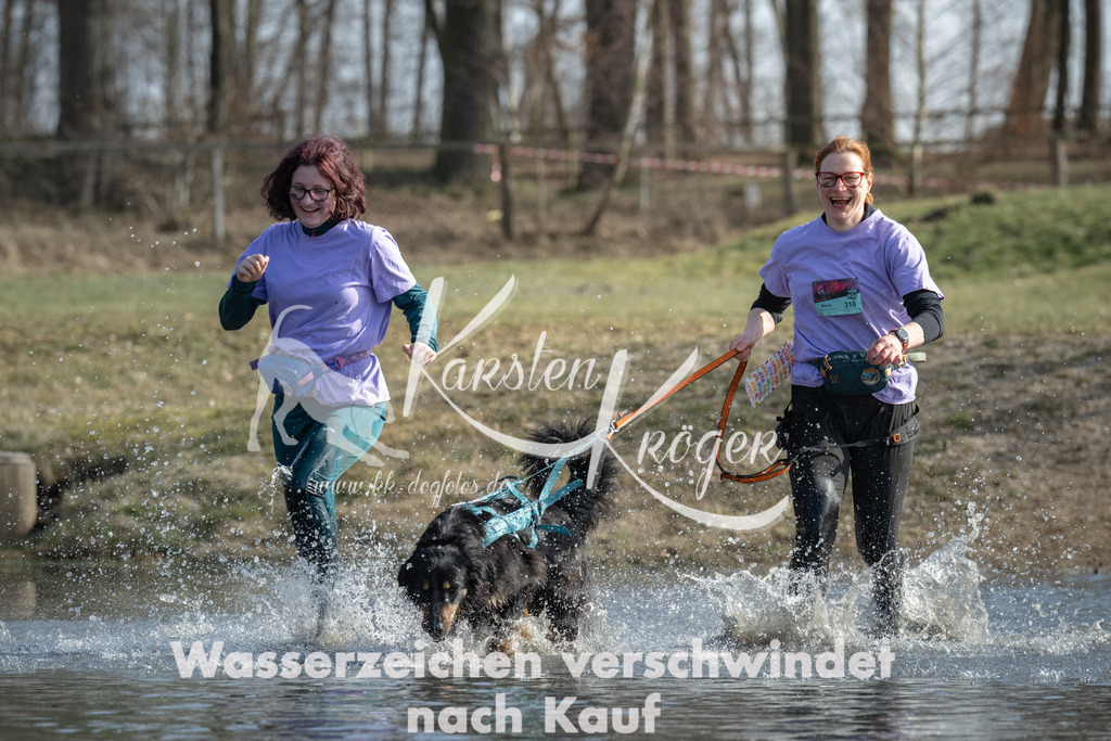 1337_ZZ97591 | kk-dogfotos