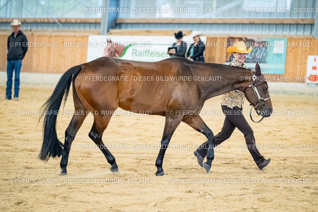 DSC09774 | Pferdegrafie