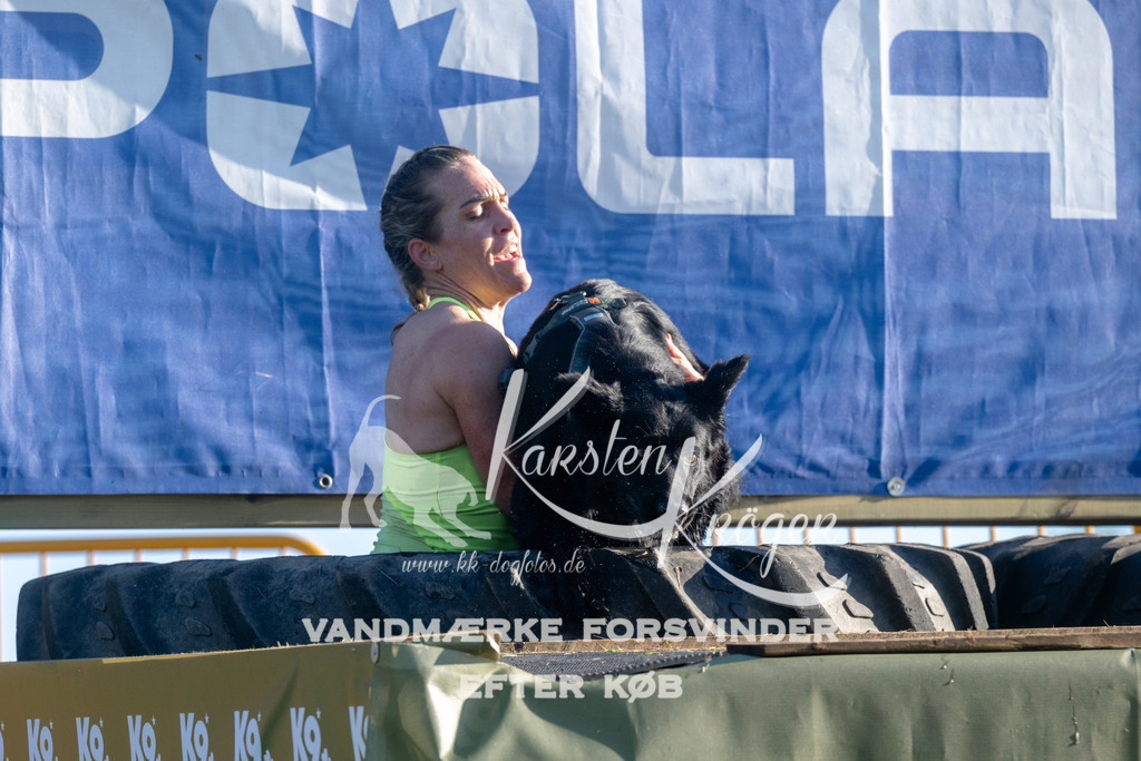 0822_ZZ93414 | kk-dogfotos