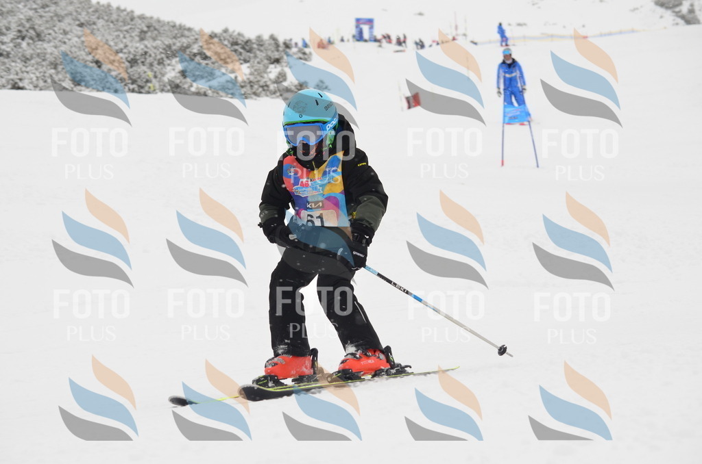 C1055 | holidayphoto