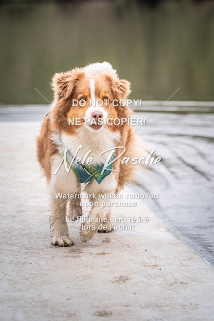 nelerasche_SoUnterwegs_247 | nelerasche