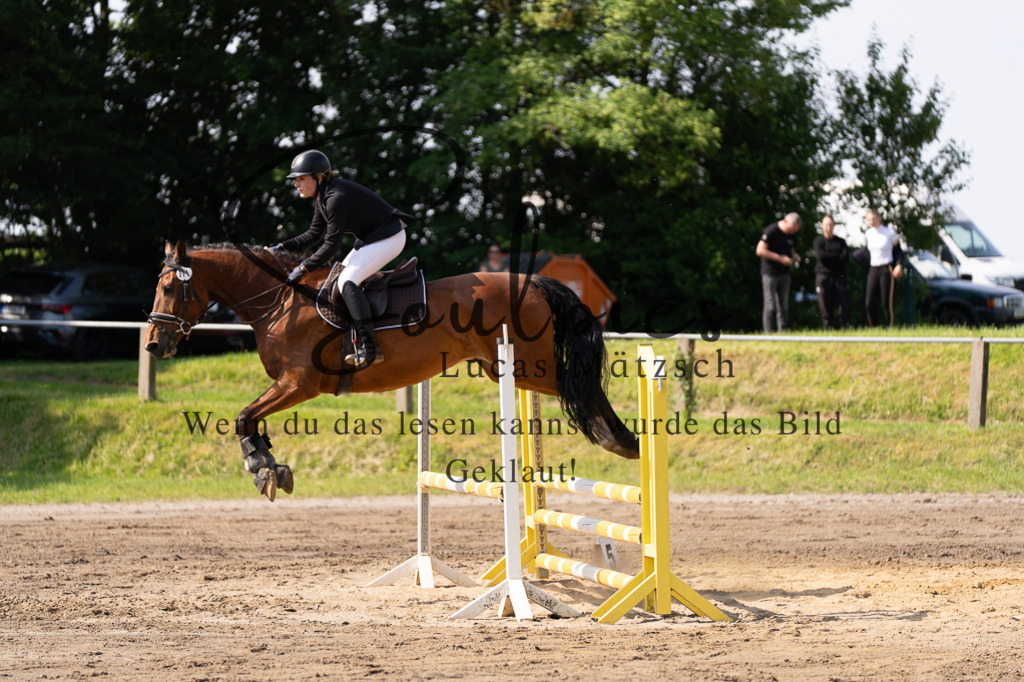 A7507381 | Turnier/Reitfotograf
