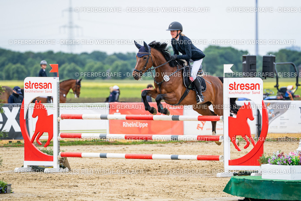 DSC04957 | Pferdegrafie