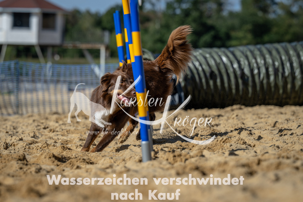 1233_ZZ93356-2 | kk-dogfotos