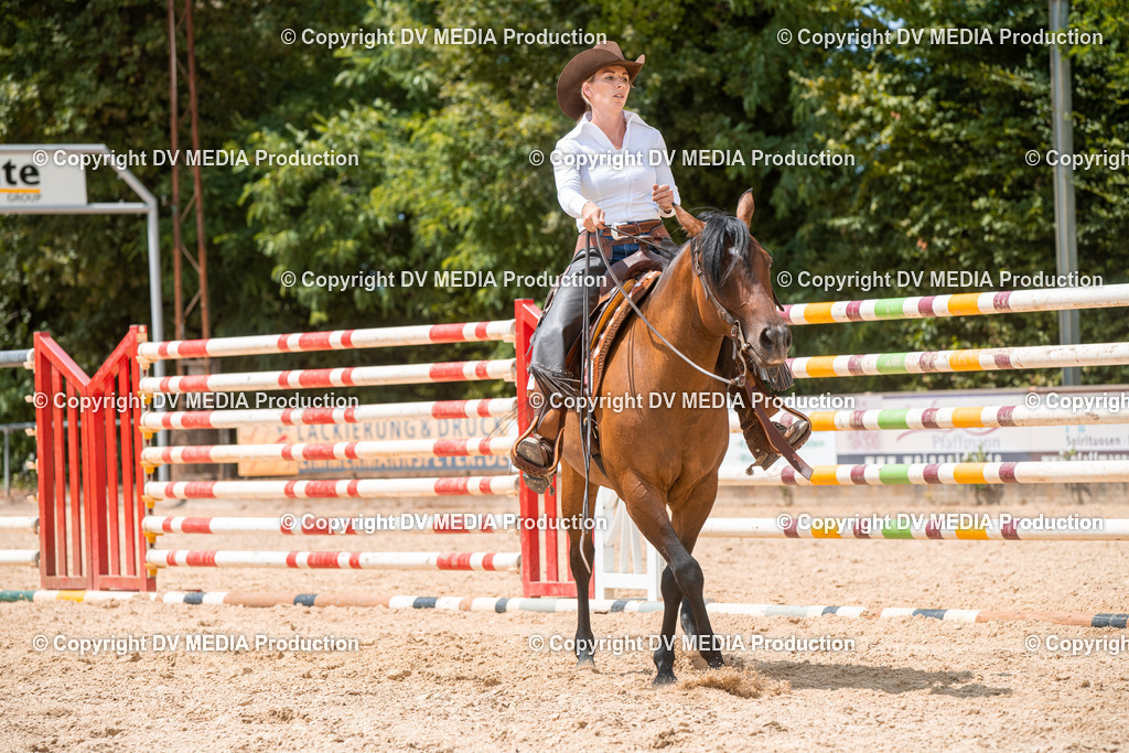 EWP_6497 | dv-media-shop - Realisiert mit Pictrs.com