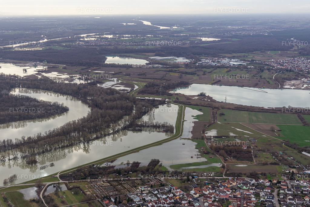 Luftbild: Hagenbacher Altrhein vor der Insel Nauas bei Hochwasser im Ortsteil Maximiliansau in Wörth im Bundesland Rheinland-Pfalz in Deutschland. Foto: IMG_124257.jpg vom 04.02.2021 durch Werner Riehm/FLY-FOTO.de