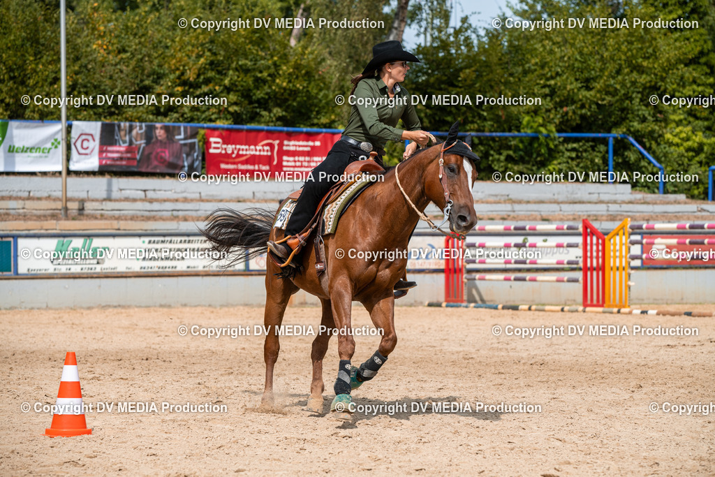 EWP_6008 | dv-media-shop - Realisiert mit Pictrs.com