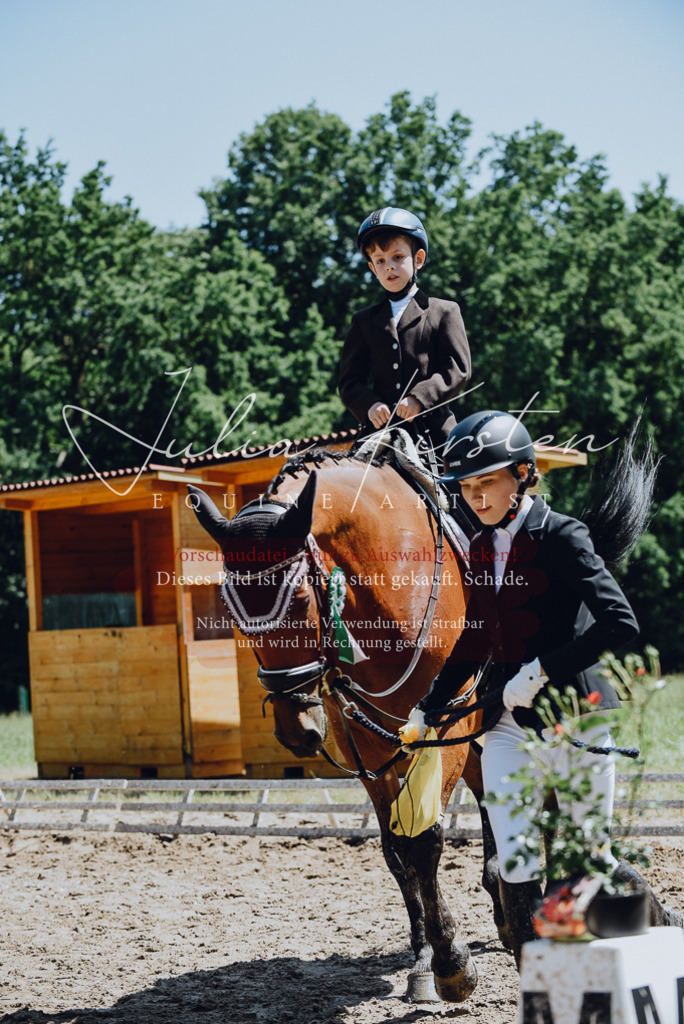 DSC_2376 | Pferde- und Turnierfotografie in Westsachsen. Pferdeportraits, Auftragszeichnungen und intuitive Kunst.
