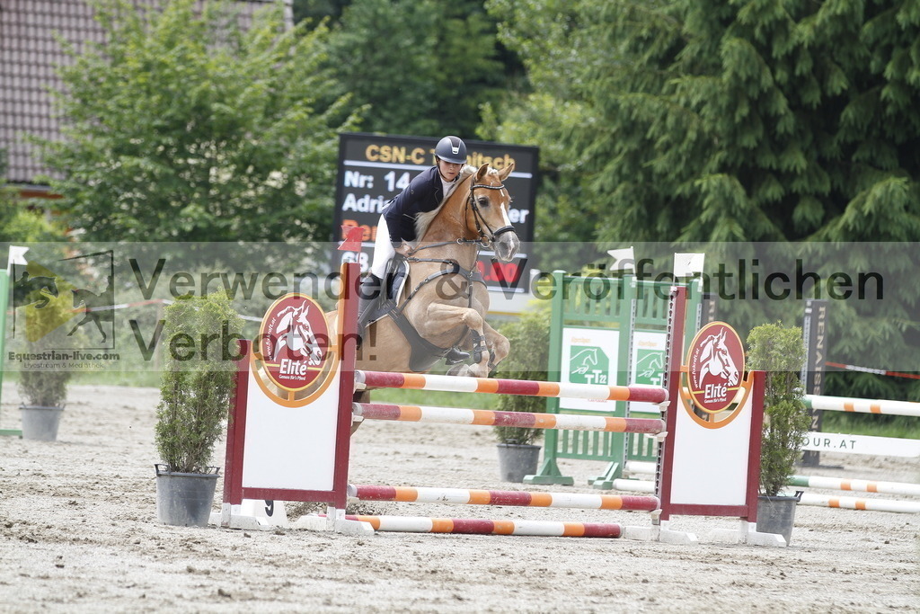 _MG_6181 | equestrian-live-com