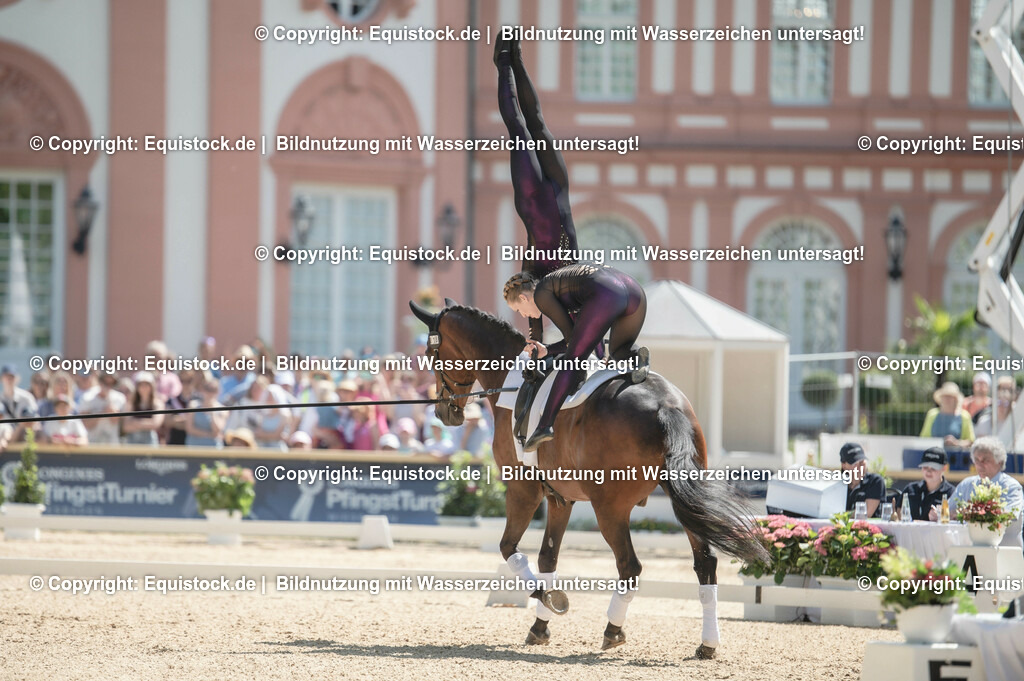 20230528_Voltigieren_NASPA_0253 | equistock