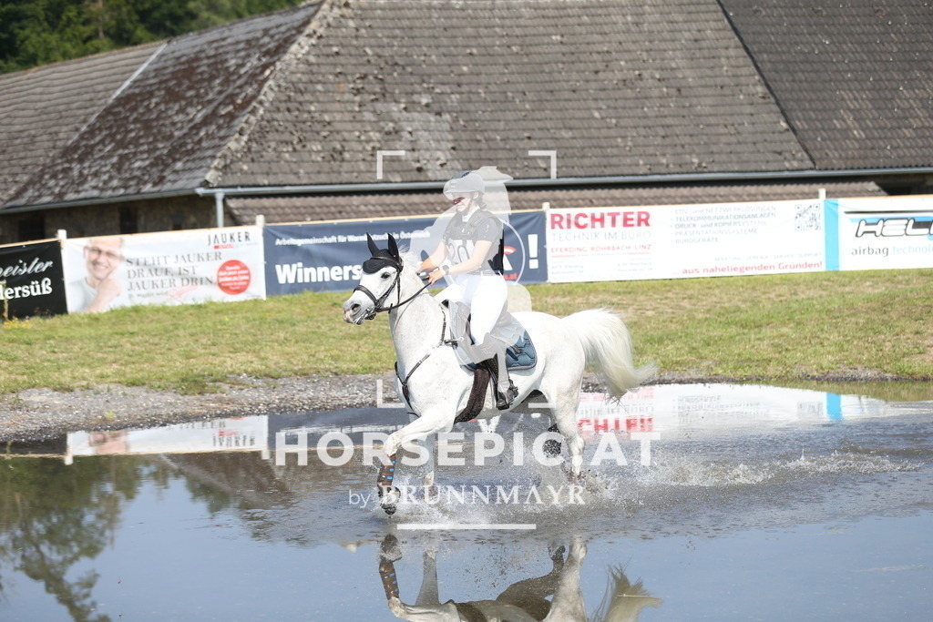 DL2Q1581 | Willkommen bei Brunnmayr - Design & Fotografie – Ihrem Spezialisten für Reitturniere und Pferdeveranstaltungen in Oberösterreich, Salzburg und Bayern! Seit über 17 Jahren sind wir leidenschaftlich dabei.