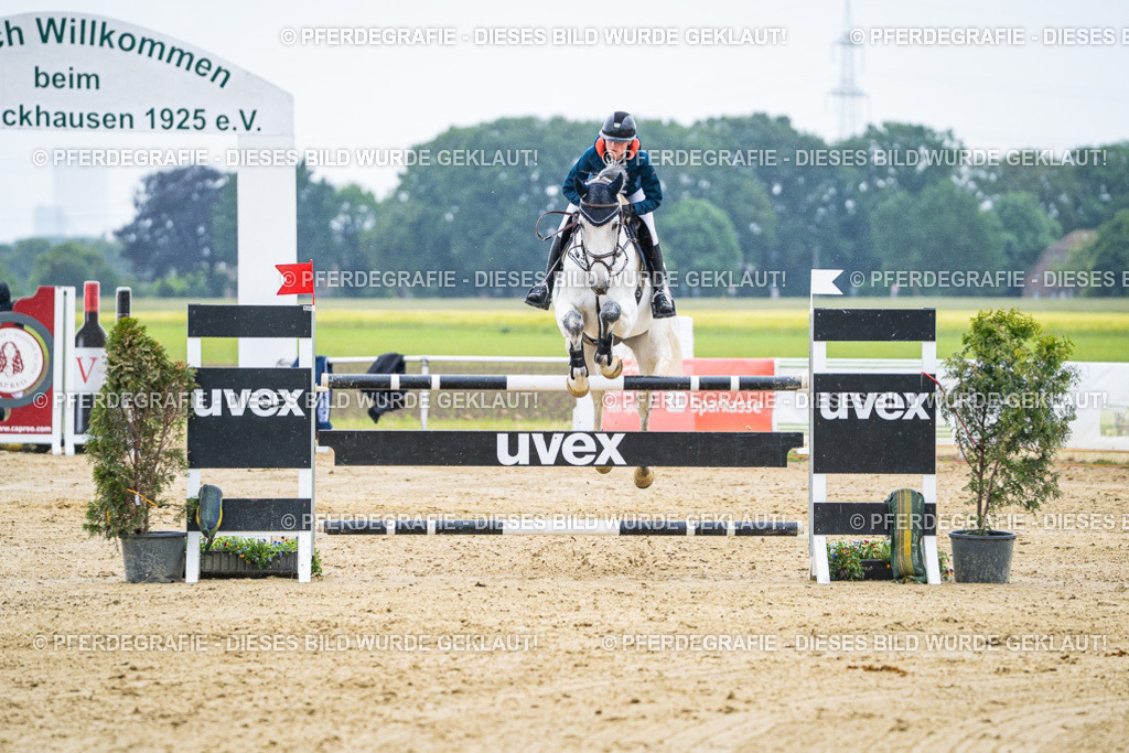 DSC09240 | Pferdegrafie