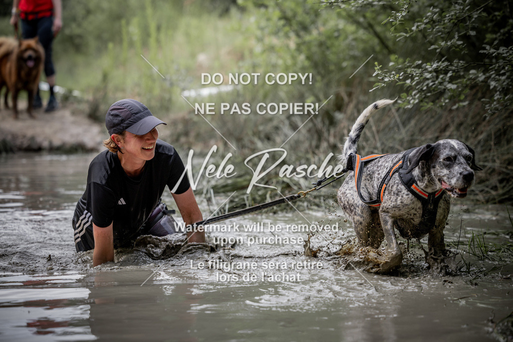 nelerasche_so0800-0930_303 | nelerasche