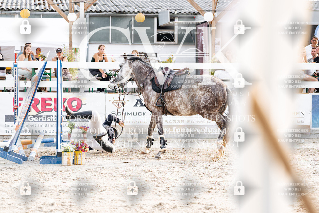 CK907053 | Turnierfotografie Pferdefotografie Trier Rheinland-Pfalz Pferdesport Reitsport Tierfotografie Sportfotografie Pferdevideo Pferdevideografie Equestrianvideography equestrianphotography  - Realisiert mit Pictrs.com