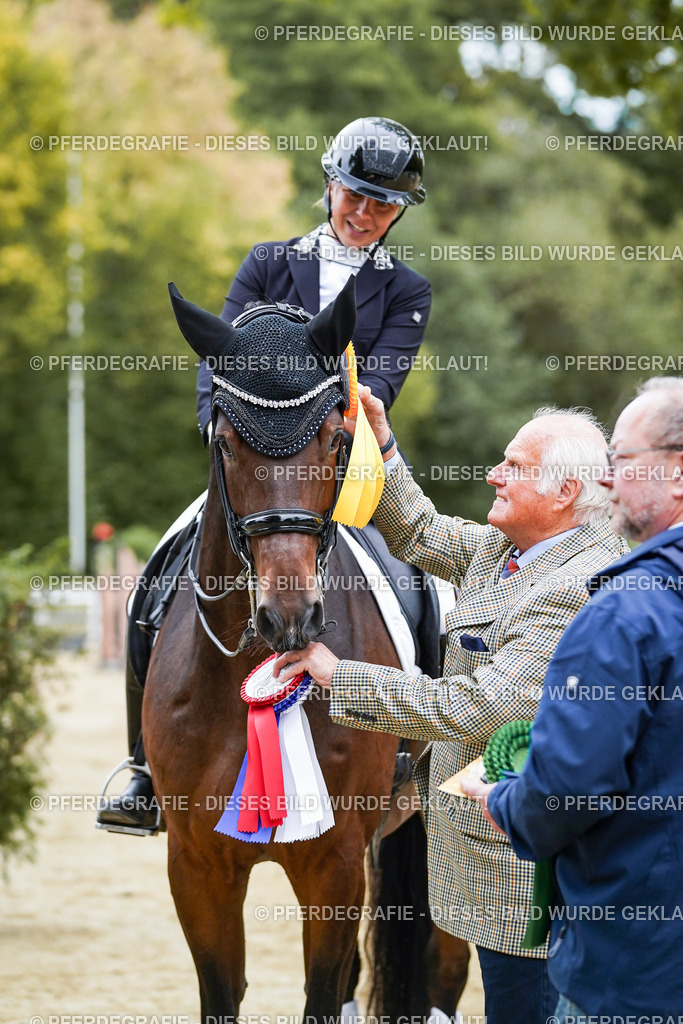 DSC02525 | Pferdegrafie