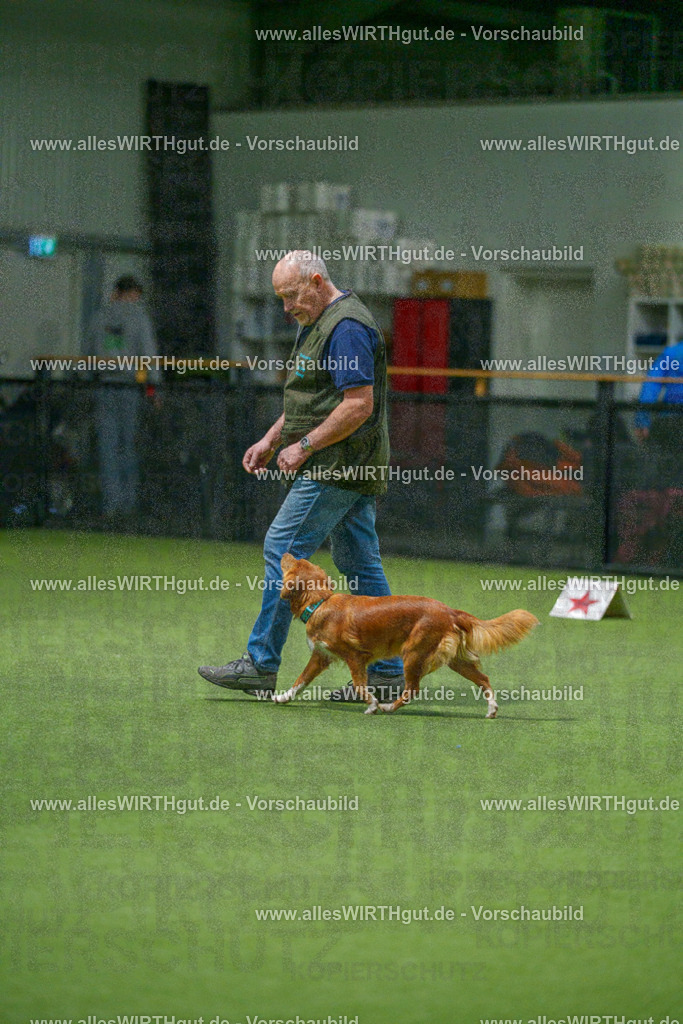 7R504558 | Professionelle Tierfotografie in Mönchengladbach von Daniel Wirth (allesWIRTHgut). Liebevolle & natürliche Bilder von Hunden & Katzen für unvergessliche Erinnerungen.