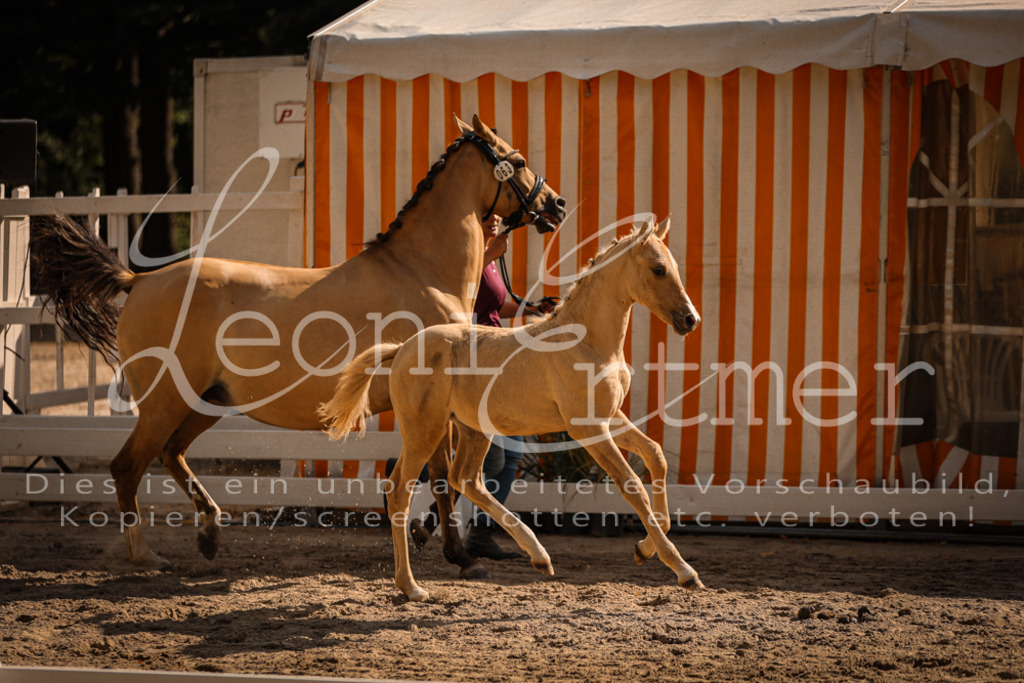 10.DoRP00194 | Leoni Ertmer Photography - Realisiert mit Pictrs.com