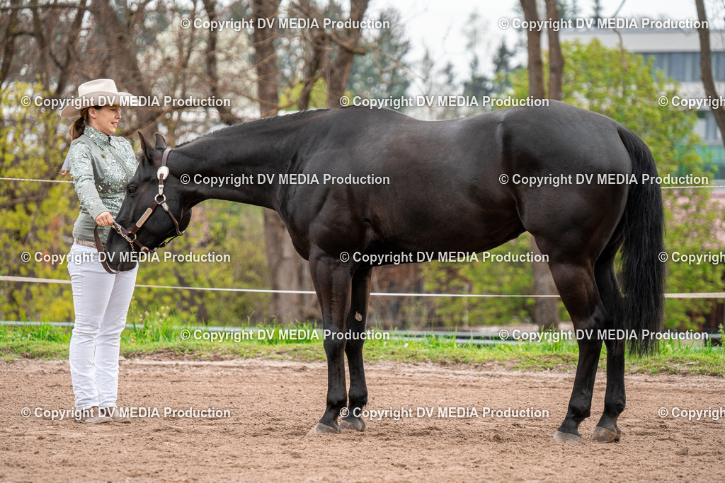 BA300177 | dv-media-shop - Realisiert mit Pictrs.com