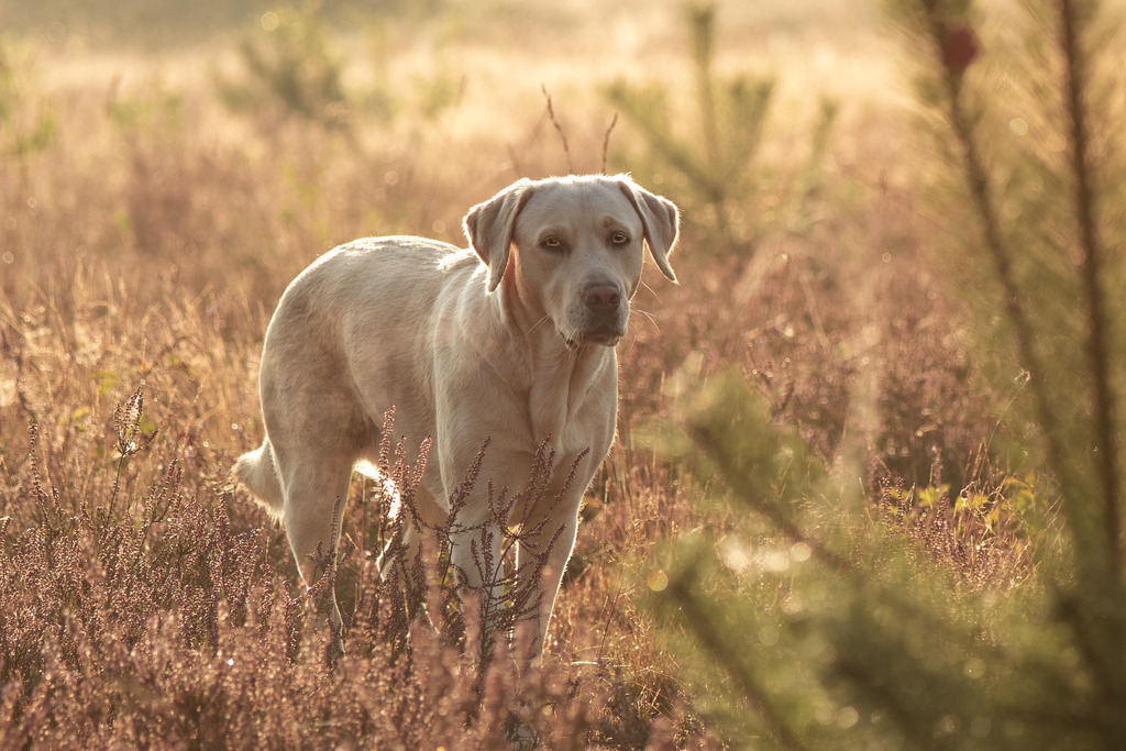 _DSC0032 | photography by friederike - Realisiert mit Pictrs.com