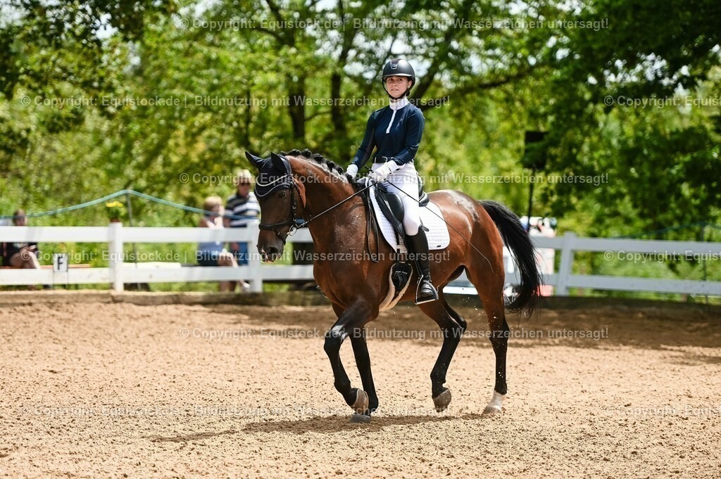 20230716_03_Dressurprfg. Kl.L - Tr._0253 | equistock